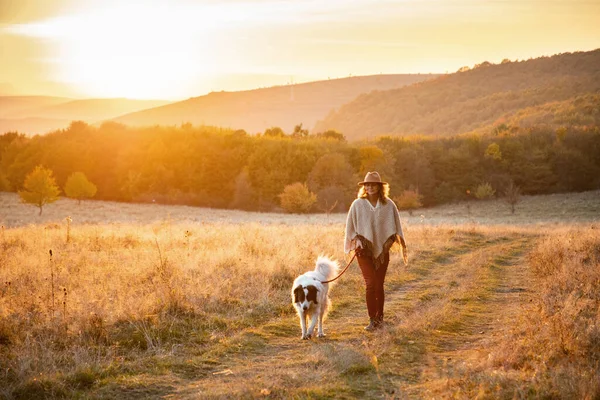 Vrouw Wandelen Met Hond Verbazingwekkende Zonsondergang Herfst Veld — Stockfoto