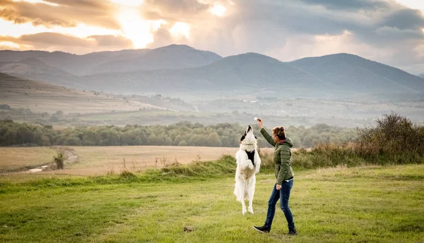 Vrouw Witte Hond Spelen Buiten — Stockfoto