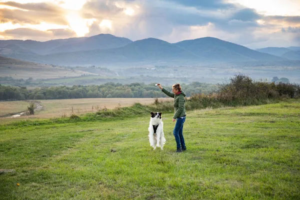 Женщина Белая Собака Играют Открытом Воздухе — стоковое фото