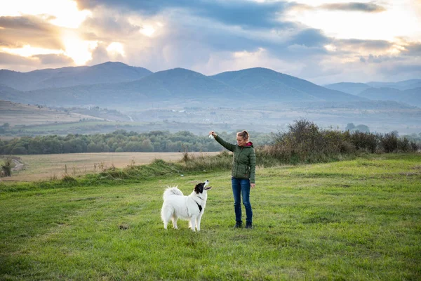 Mujer Perro Blanco Jugando Aire Libre —  Fotos de Stock