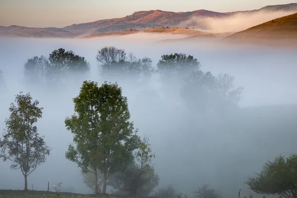 Beautiful Foggy Autumn Morning Landscape Rural Transylvania — Stock Photo, Image