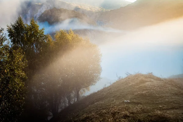 Beau Paysage Matinal Automne Brumeux Transylvanie Rurale — Photo