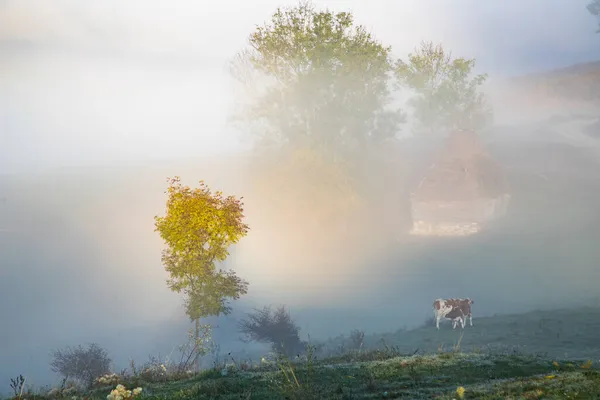 Prachtige Mistige Herfst Ochtend Landschap Landelijk Transsylvanië — Stockfoto