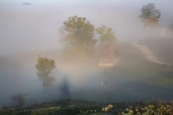 Indah Berkabut Musim Gugur Pagi Lanskap Pedesaan Transylvania — Stok Foto