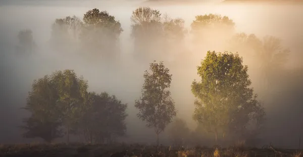 田舎の美しい霧の秋の朝の風景トランシルヴァニア — ストック写真
