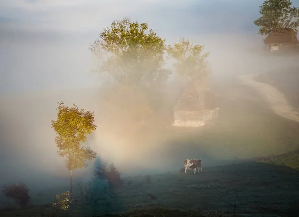 트란실바니아의 아름다운 — 스톡 사진