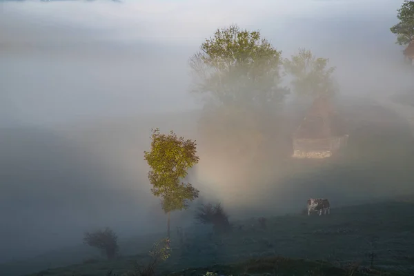 Bela Paisagem Matinal Outono Nebuloso Transilvânia Rural — Fotografia de Stock