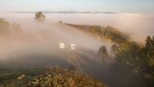 Bellissimo Paesaggio Nebbioso Autunno Mattina Transilvania Rurale — Foto Stock