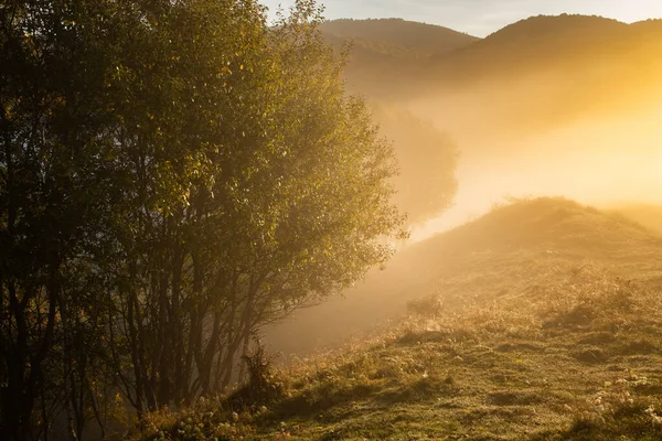 田舎の美しい霧の秋の朝の風景トランシルヴァニア — ストック写真