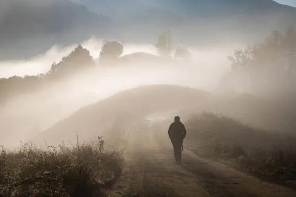 Homme Marchant Dans Paysage Automne Brumeux — Photo