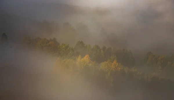 Krásná Mlhavá Podzimní Ranní Krajina Venkově Transylvánie — Stock fotografie