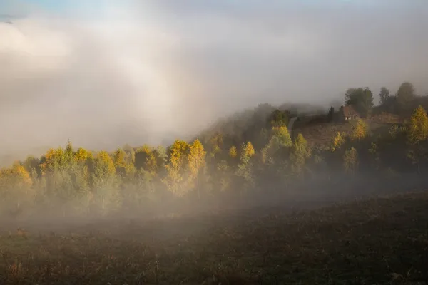 Beau Paysage Matinal Automne Brumeux Transylvanie Rurale — Photo