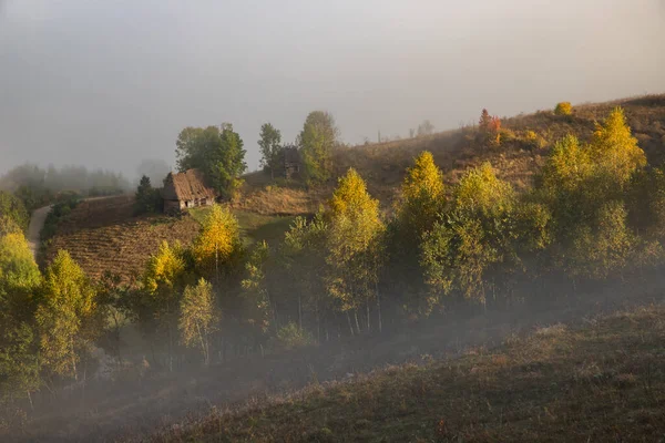 Vacker Dimmig Höst Morgon Landskap Landsbygden Transsylvanien — Stockfoto