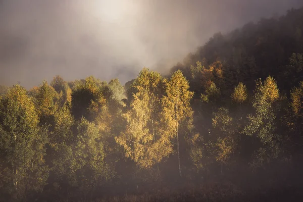 Bela Paisagem Matinal Outono Nebuloso Transilvânia Rural — Fotografia de Stock