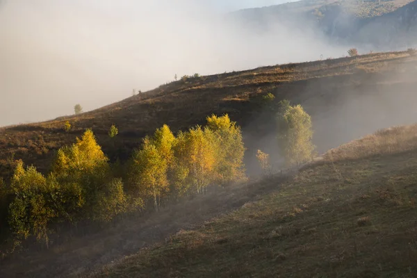 Piękny Mglisty Jesienny Poranek Krajobraz Wsi Transylwania — Zdjęcie stockowe