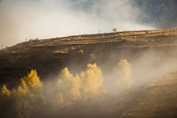 川西农村美丽的雾蒙蒙的秋天清晨风景 — 图库照片