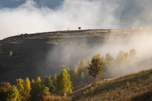 Prachtige Mistige Herfst Ochtend Landschap Landelijk Transsylvanië — Stockfoto