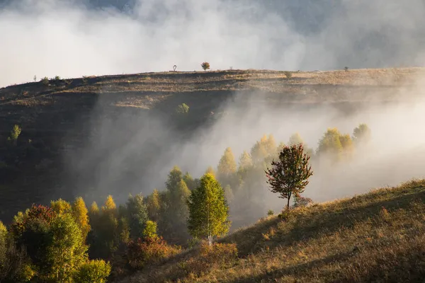 Beau Paysage Matinal Automne Brumeux Transylvanie Rurale — Photo