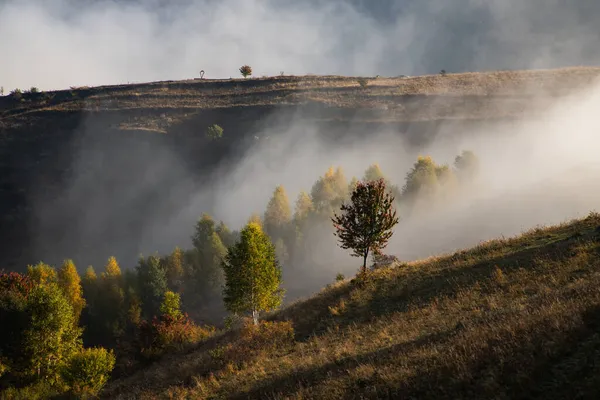 Красивый Туманный Осенний Утренний Пейзаж Сельской Местности Трансильвании — стоковое фото