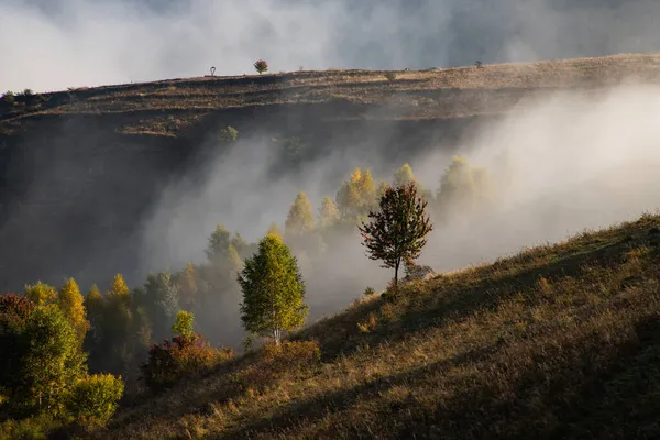 Schöne Neblige Herbstlandschaft Ländlichen Siebenbürgen — Stockfoto