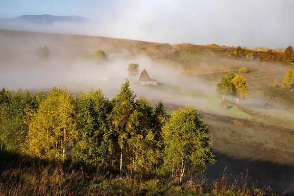 Vacker Dimmig Höst Morgon Landskap Landsbygden Transsylvanien — Stockfoto