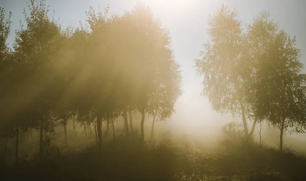 Bela Paisagem Matinal Outono Nebuloso Transilvânia Rural — Fotografia de Stock