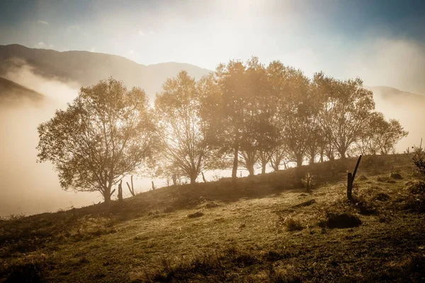 Piękny Mglisty Jesienny Poranek Krajobraz Wsi Transylwania — Zdjęcie stockowe