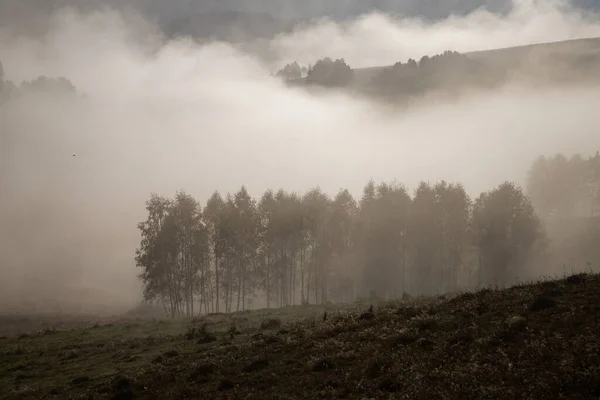 Hermoso Paisaje Nublado Otoño Por Mañana Transilvania Rural — Foto de Stock