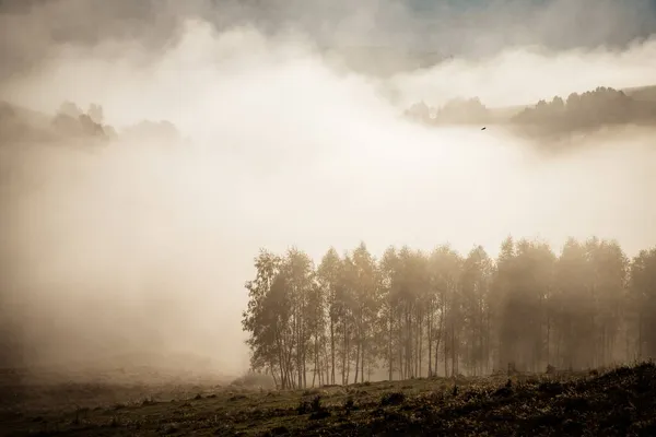 Beautiful Foggy Autumn Morning Landscape Rural Transylvania — Stock Photo, Image