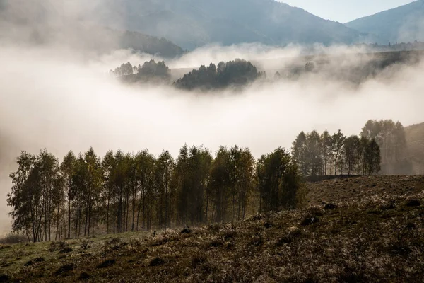 Beautiful Foggy Autumn Morning Landscape Rural Transylvania — Stock Photo, Image