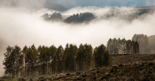 Bellissimo Paesaggio Nebbioso Autunno Mattina Transilvania Rurale — Foto Stock