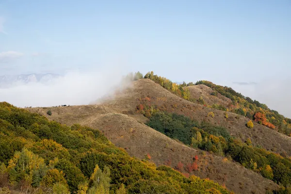 Beautiful Foggy Autumn Morning Landscape Rural Transylvania — Stock Photo, Image