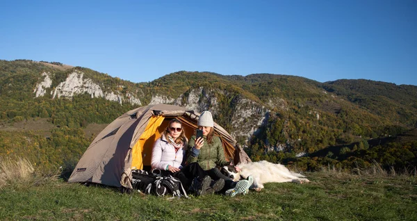 Gelukkige Vrienden Camping Met Hond Herfst Landschap — Stockfoto