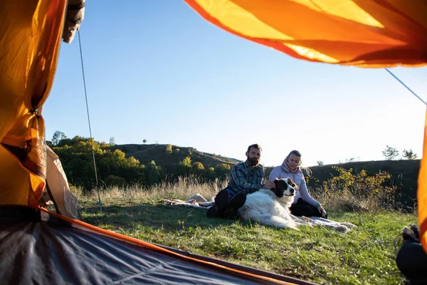 Gelukkige Vrienden Camping Met Hond Herfst Landschap — Stockfoto