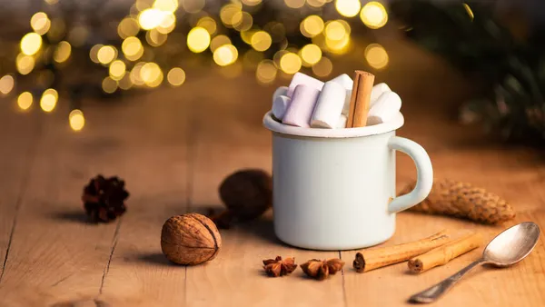 Xícara Chocolate Quente Com Marshmallows Cones Paus Canela Ramos Abeto — Fotografia de Stock