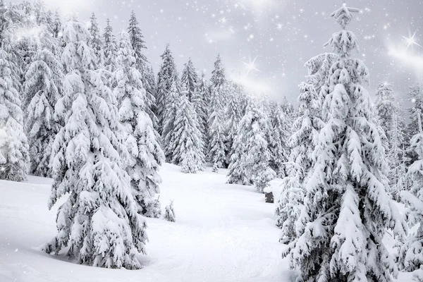 Paisaje Mágico Invierno Con Abetos Nevados —  Fotos de Stock