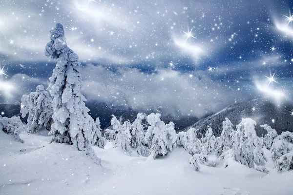 Magic Winter Landscape Snowy Fir Trees — Stock Photo, Image