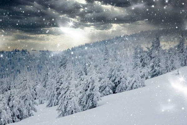 Csodálatos Téli Táj Havas Fenyőfákkal — Stock Fotó