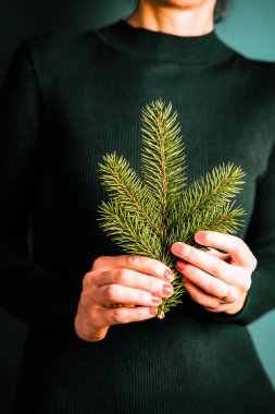 Noel 'de elinde köknar dalı tutan kadın