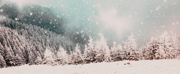 Winterlandschap Met Besneeuwde Dennenbomen Bergen — Stockfoto