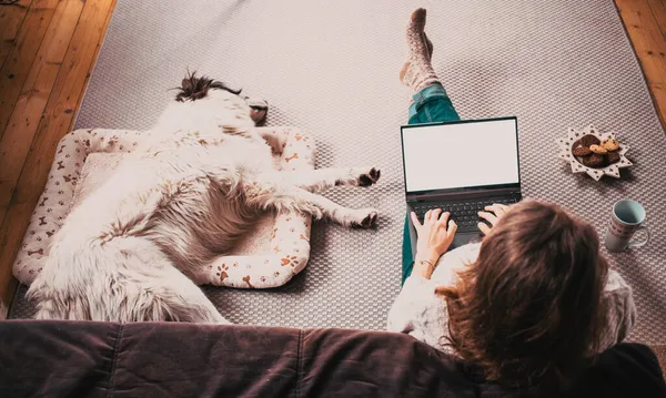 Vrouw Thuis Met Hond Hygge Met Kerst — Stockfoto