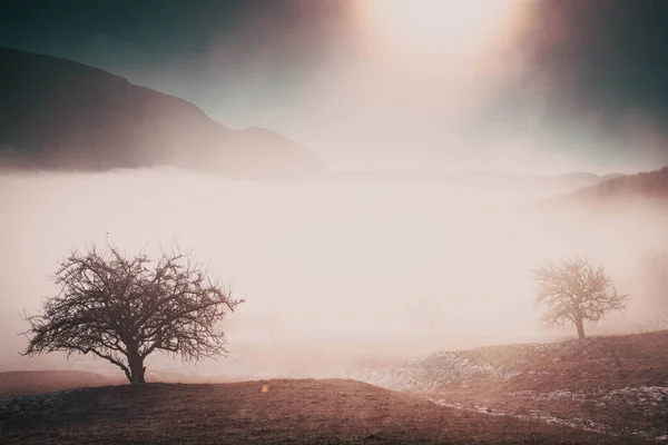 Geweldig Winterlandschap Met Mist Ijzige Bomen Rimetea Roemenië — Stockfoto