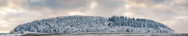 Bandera Hermoso Paisaje Invierno Cubierto Nieve Bosque Pinos —  Fotos de Stock