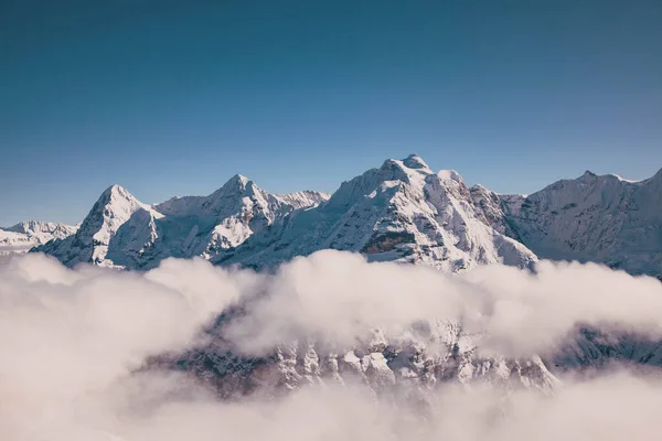 Csodálatos Havas Csúcsok Svájci Alpokban Jungfrau Régió Schilthorn — Stock Fotó