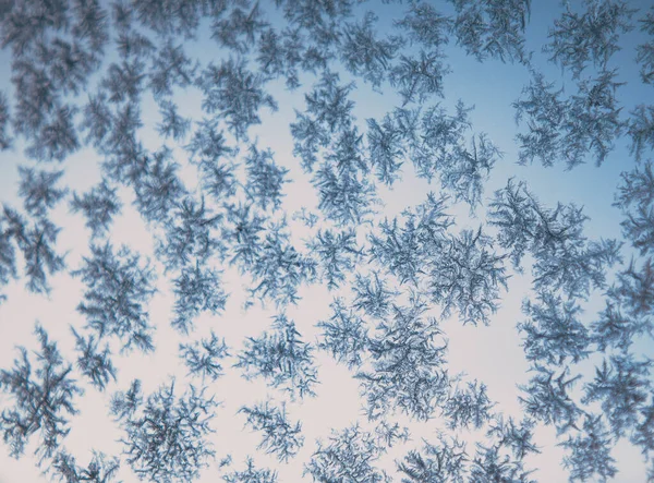 Hermosos Copos Nieve Congelados Fondo Navidad —  Fotos de Stock