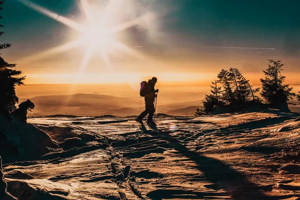 Backcountry Skifahrer Erreicht Den Gipfel Bei Sonnenuntergang — Stockfoto