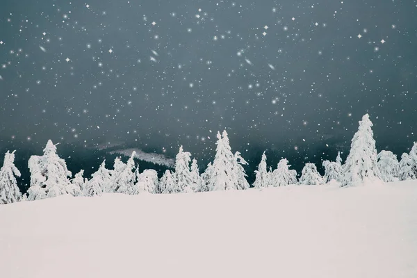 Paisagem Mágica Inverno Com Abetos Nevados — Fotografia de Stock