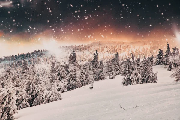 Paysage Étonnant Merveilles Hiver Avec Des Sapins Neigeux Nuit — Photo