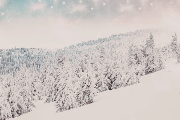 Asombroso Paisaje Maravilla Invierno Con Abetos Nevados —  Fotos de Stock