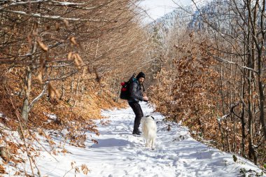 İnsan ve beyaz köpek kış dağlarında yürüyorlar.